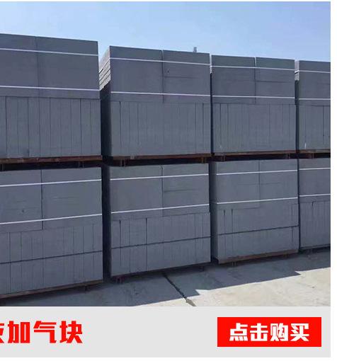 上海厂家专业生产销售10公分厚灰加气块